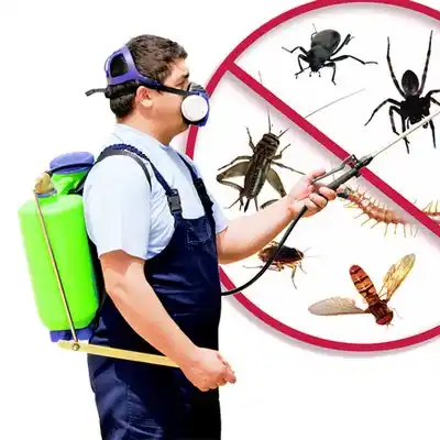 pest control Ocean Springs